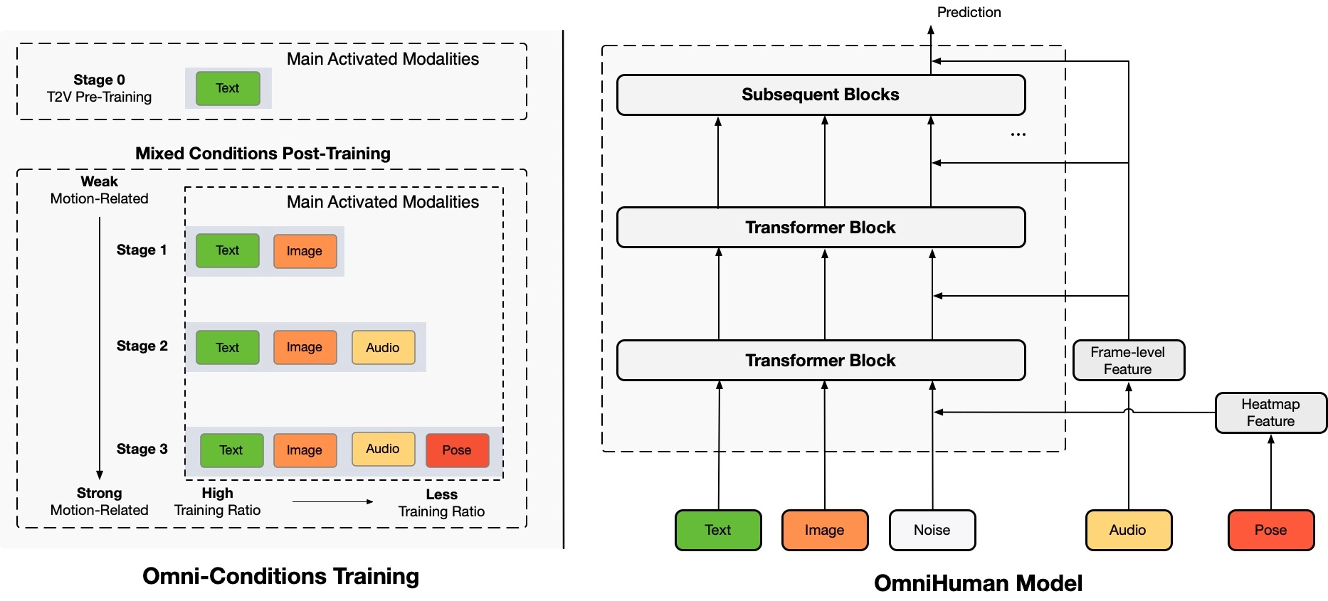 omni conditions training omnihuman model